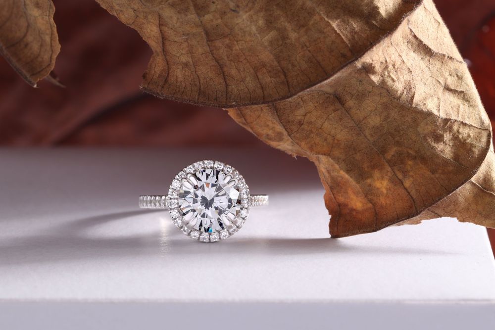 Round diamond halo ring with a pavé band in white gold beside a dried leaf